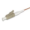 Qoltec Pigtail światłowodowy LC/UPC | Multimode | 50/125 | OM2 | 2m
